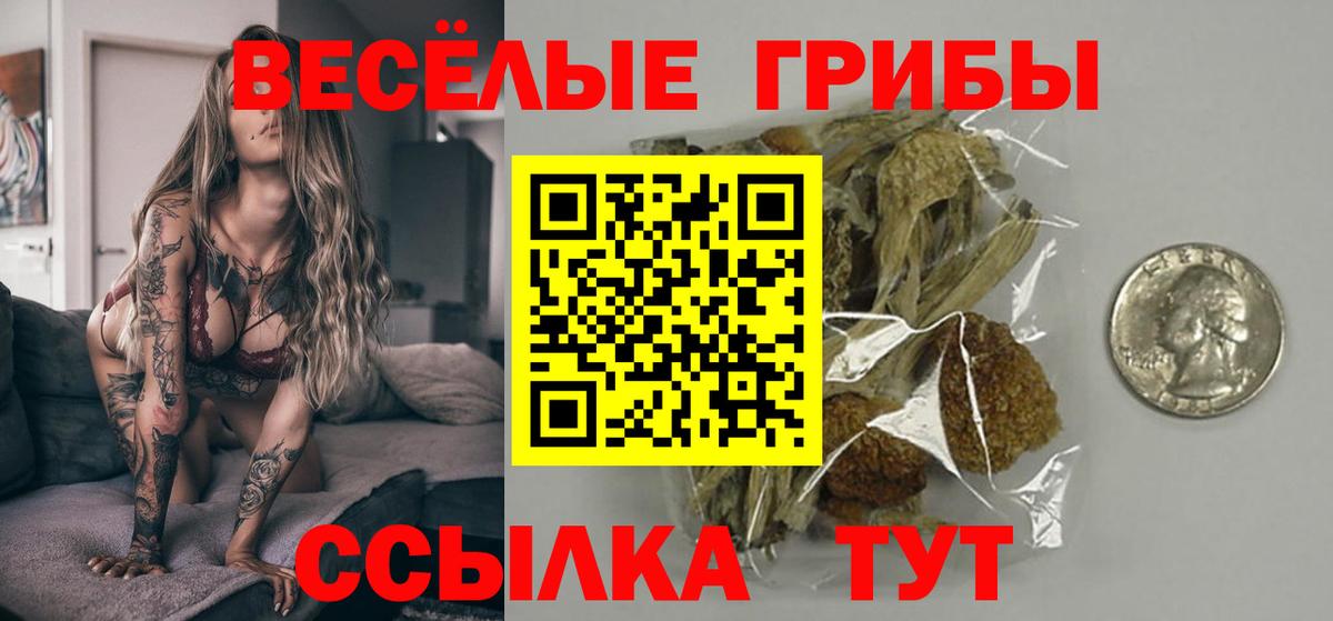 Псилоцибиновые грибы Cubensis Гусев