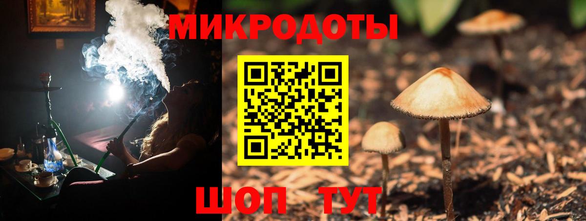 Галлюциногенные грибы ЛСД  Вход с VPN  Гусев  Галлюциногенные грибы MAGIC MUSHROOMS 