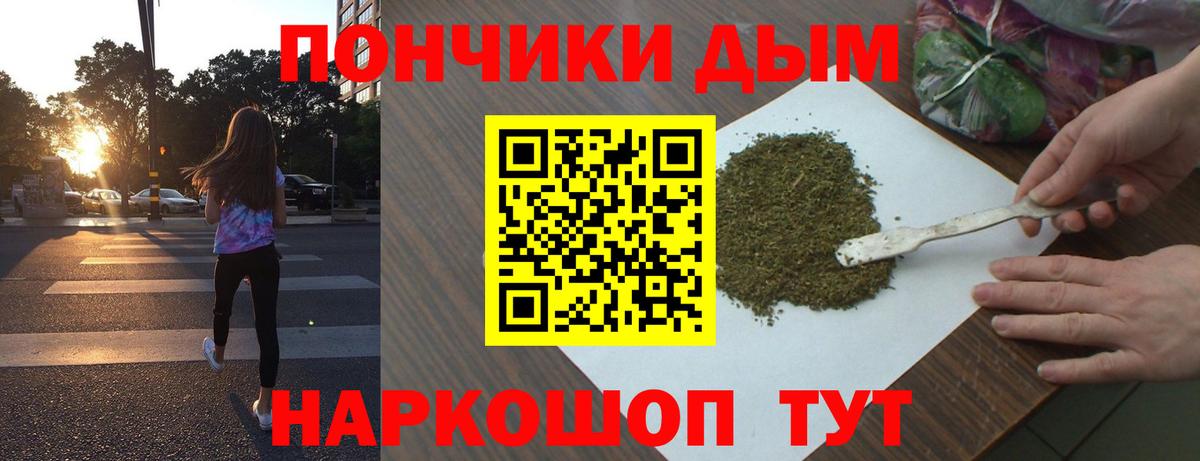 Каннабис гибрид Гусев
